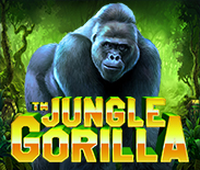 Jungle Gorilla